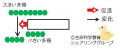 2017年3月5日 (日) 22:58時点における版のサムネイル