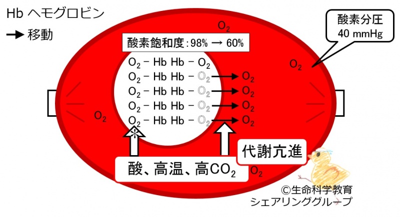 ファイル:04144.jpg