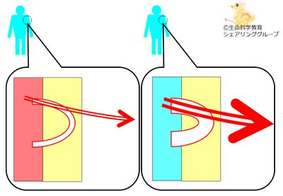 皮膚血管作用.jpg