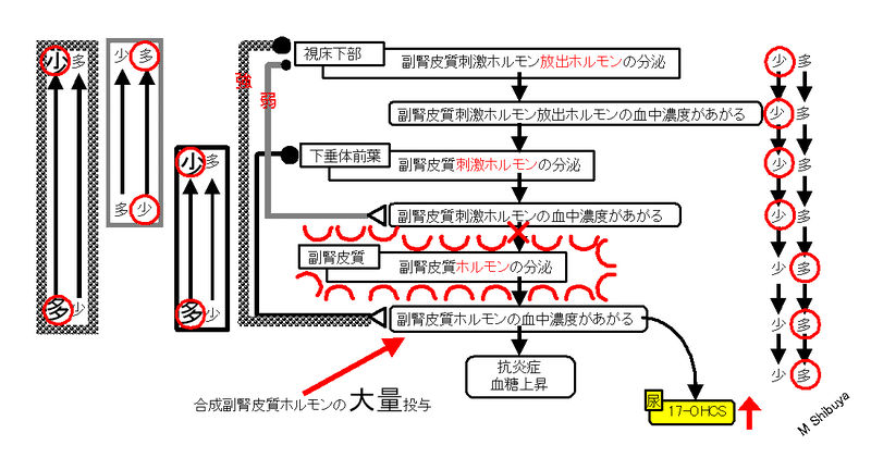 ファイル:00797.jpg