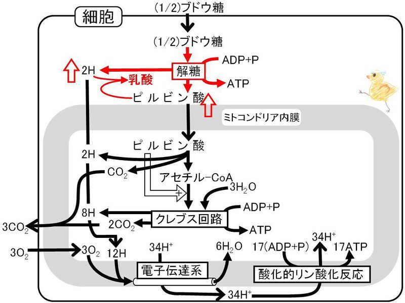 ファイル:03260.jpg