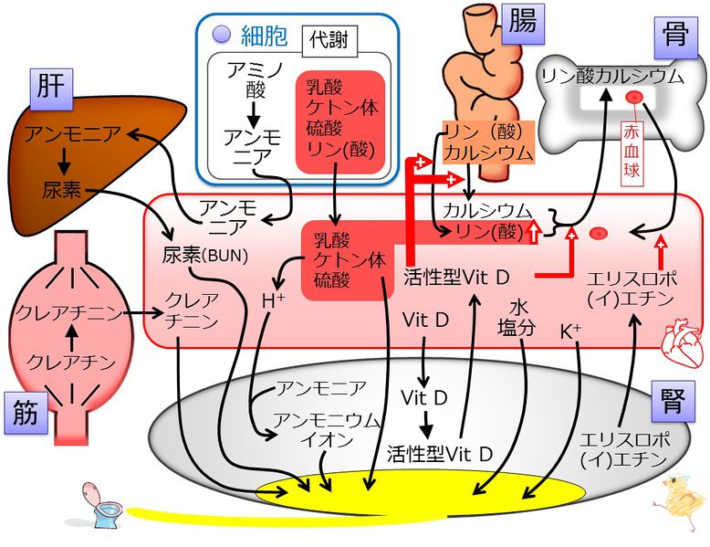 ファイル:03819.jpg