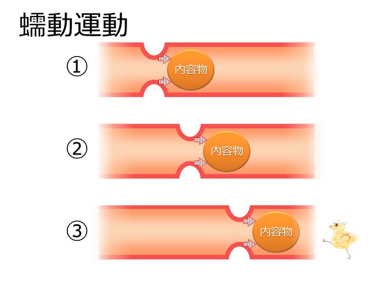 ファイル:04064.jpg