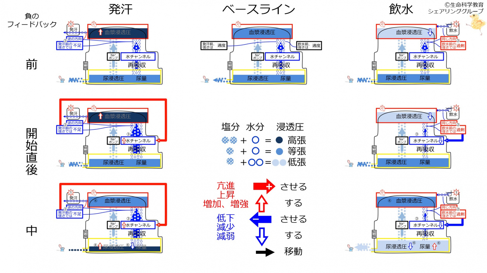 ChannelControlSummary-2020.jpg