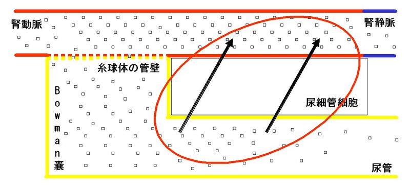ファイル:00281.jpg