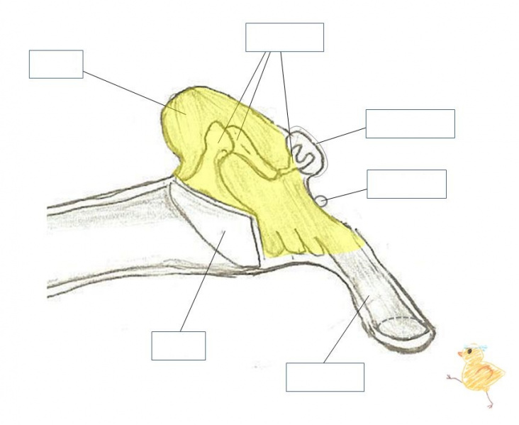 ファイル:02407-wb.jpg