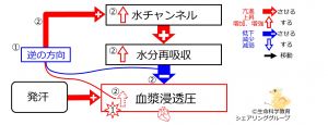 /wiki/images/thumb/3/32/SweatingDuringBasicFeedbackToWaterChannels-JPN.jpg/300px-SweatingDuringBasicFeedbackToWaterChannels-JPN.jpg