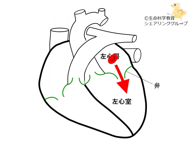 ファイル:01723.jpg