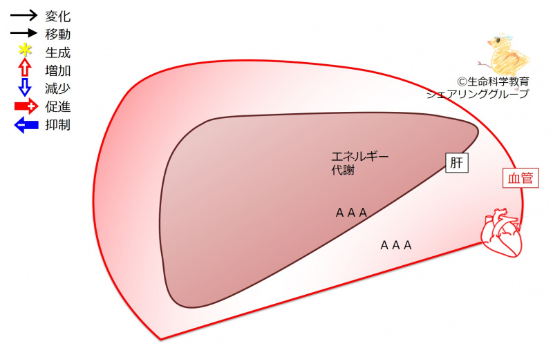 ファイル:03873-wb.jpg