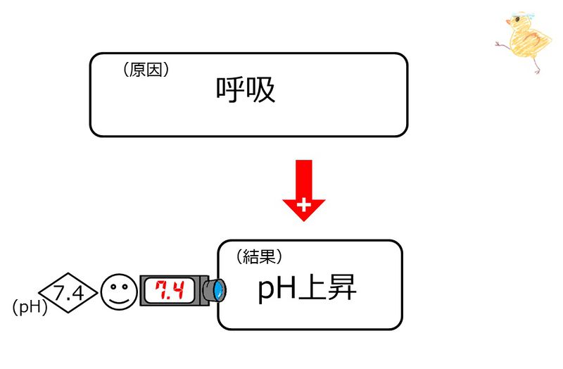 ファイル:03954.jpg