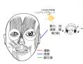 2023年7月12日 (水) 13:47時点における版のサムネイル