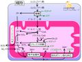 2014年4月2日 (水) 16:57時点における版のサムネイル