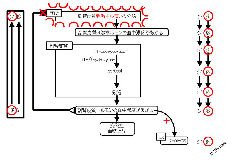 ファイル:00802.jpg