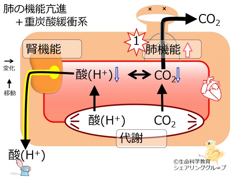 ファイル:04415.jpg