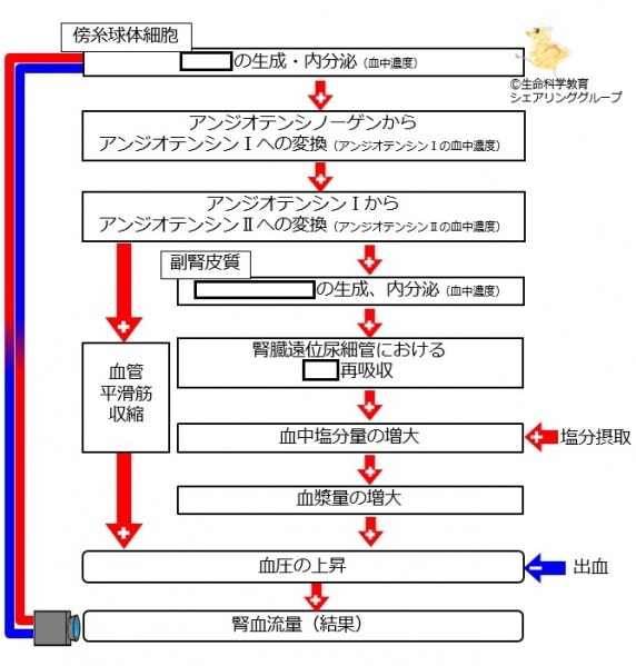 ファイル:RAA全体像 文字ベース-wb.jpg