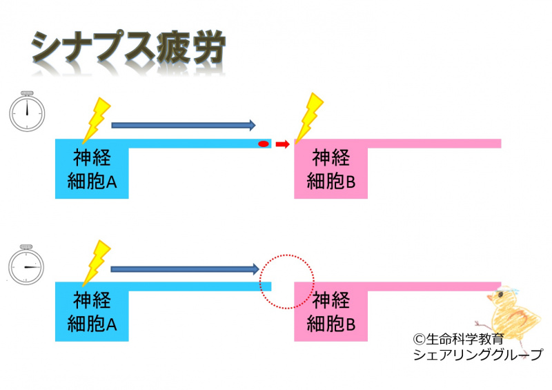 ファイル:02701.jpg