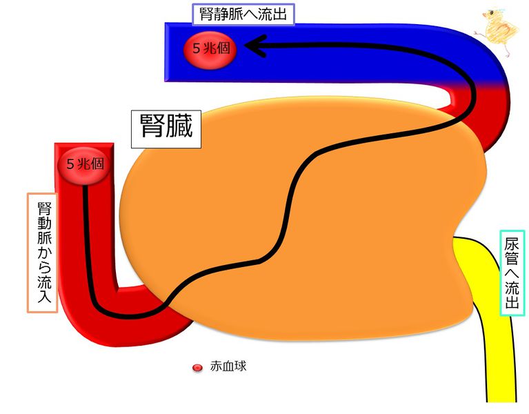 ファイル:04334.jpg