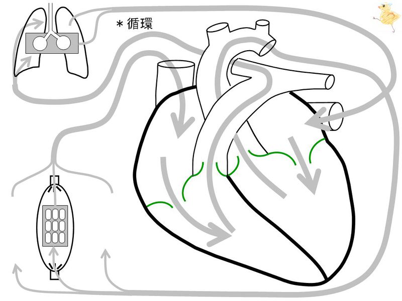 ファイル:01531.jpg