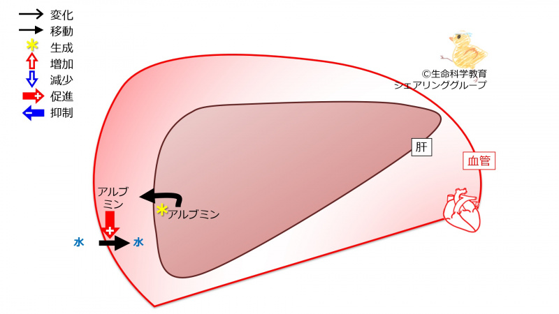 ファイル:03867.jpg