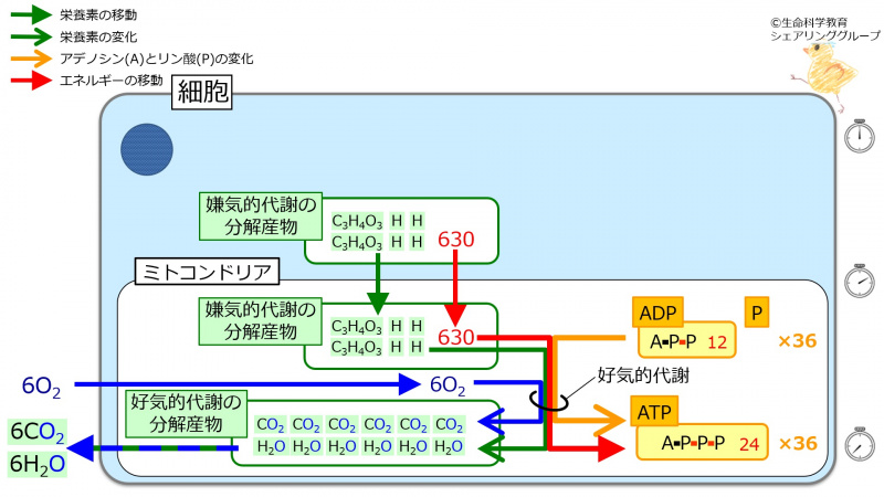 ファイル:04122.jpg