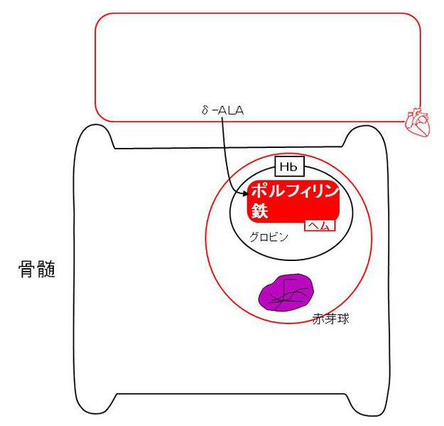 ファイル:00394.jpg