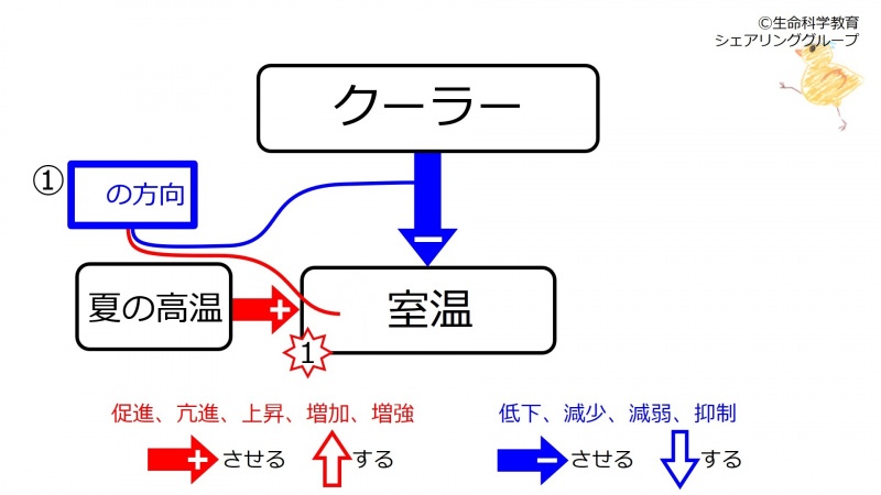 ファイル:CoolerSummerBeforeFeedback-wb.jpg