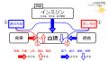 2021年11月23日 (火) 16:36時点における版のサムネイル