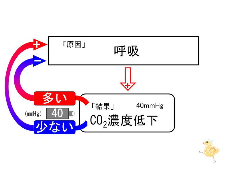 ファイル:02090.jpg