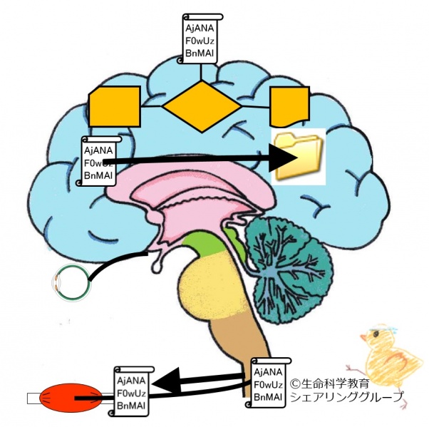ファイル:02697.jpg