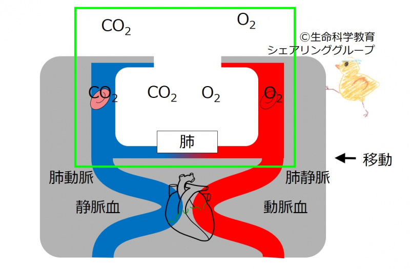 ファイル:03774-wb.jpg
