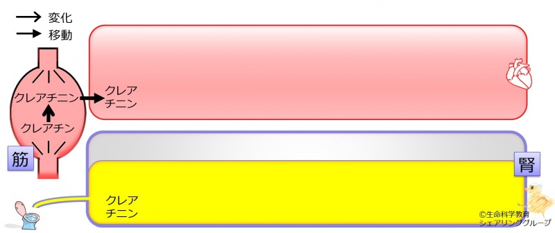 ファイル:03806-wb.jpg