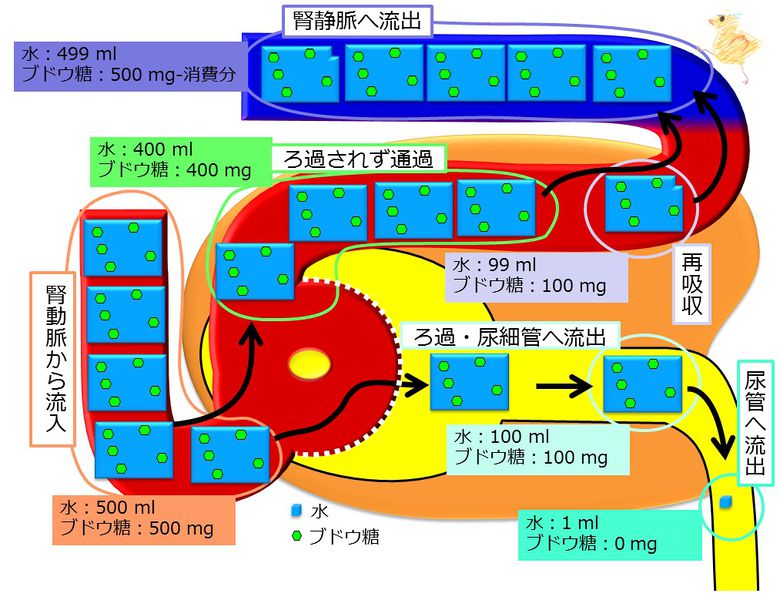 ファイル:04308.jpg