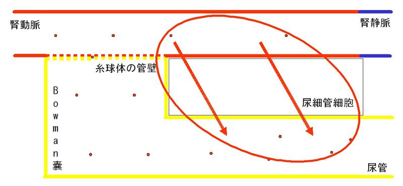 ファイル:00326.jpg