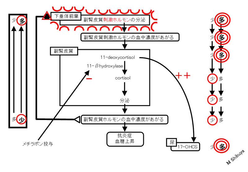 ファイル:00801.jpg