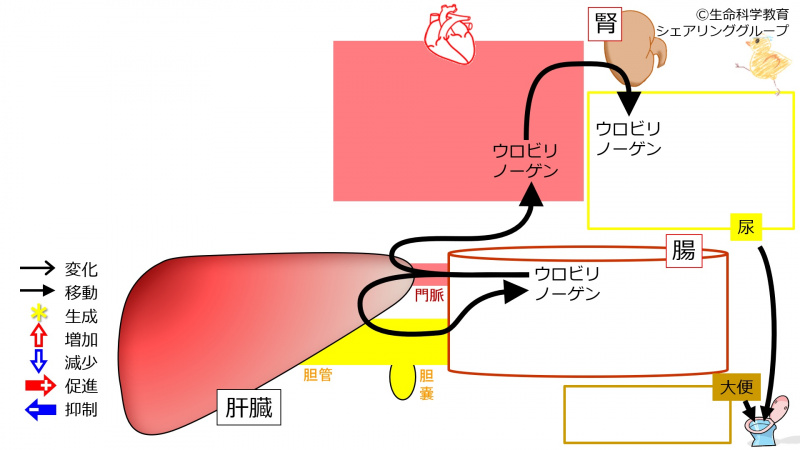 ファイル:01141.jpg