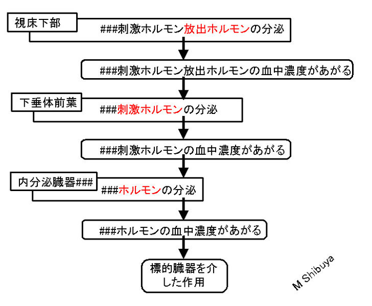 ファイル:00711.jpg