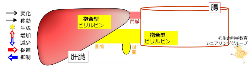 ファイル:01137-wb.jpg