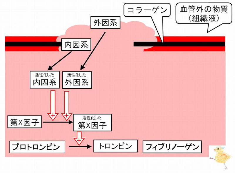 ファイル:03017.jpg