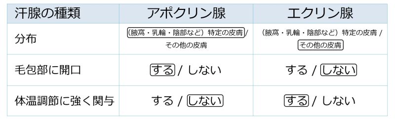 ファイル:03973.jpg