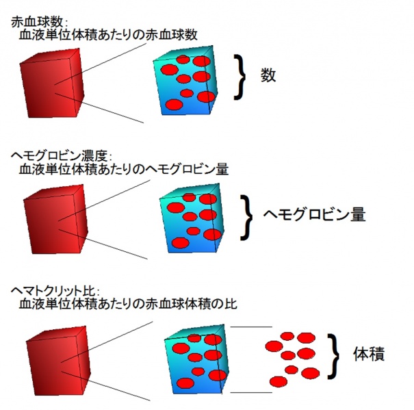 ファイル:一般的指標.jpg