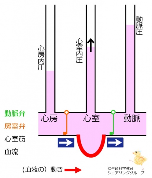 ファイル:緊張期 クイズ.jpg