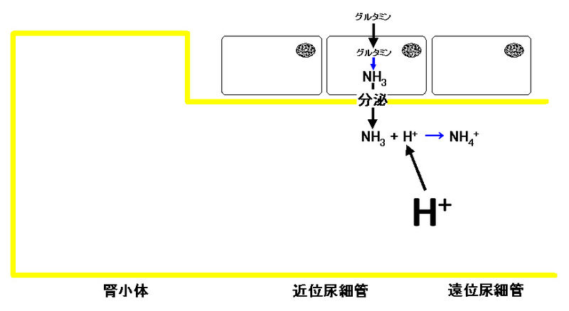 ファイル:00628.jpg