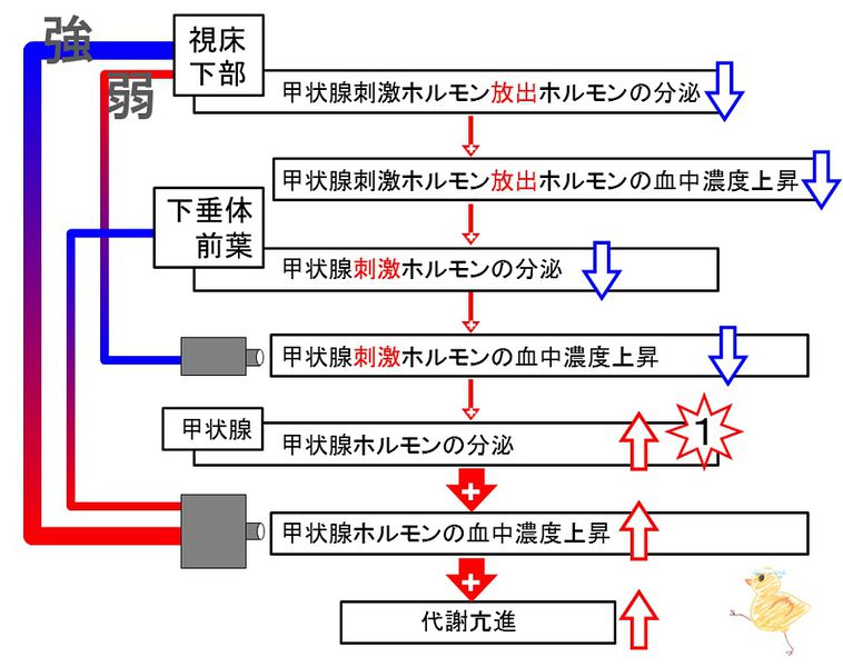 ファイル:03410.jpg