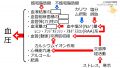 2023年9月11日 (月) 22:41時点における版のサムネイル