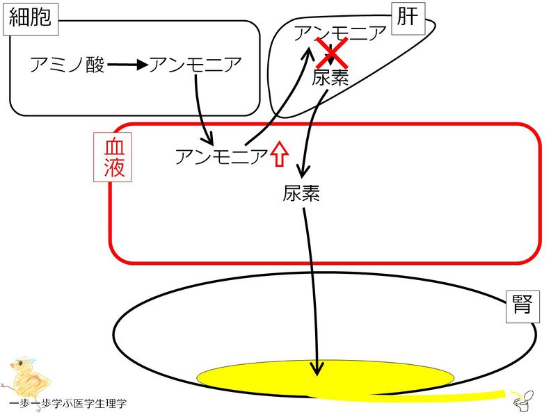 ファイル:01755.jpg