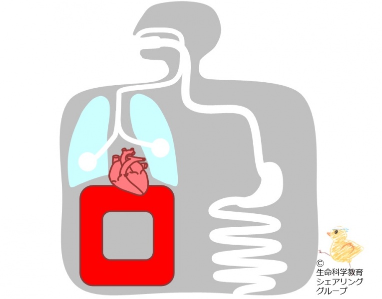 ファイル:04597-wb.jpg
