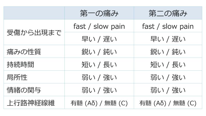 ファイル:PainSummaryBasic-Jpn-wb.jpg