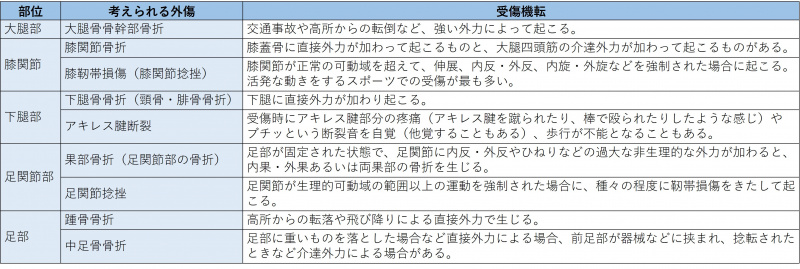 ファイル:表-筋骨格-視診-四肢の外傷-部位別の障害-下肢.jpg