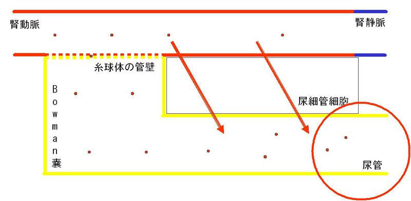 ファイル:00327.jpg