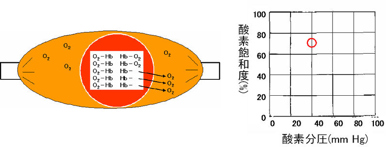 ファイル:00354.jpg